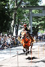 024年6月16日　大國魂神社府中流鏑馬[Jun.16,2024 Fuchu Yabusame at Okunitama Shrinei]