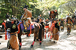 024年11月4日　町田時代祭[Nov 04, 2024 Machida Jidai Matsuri]