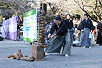 024年11月4日　町田時代祭[Nov 04, 2024 Machida Jidai Matsuri]