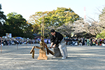 024年11月4日　町田時代祭[Nov 04, 2024 Machida Jidai Matsuri]